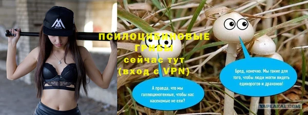 mdpv Горняк
