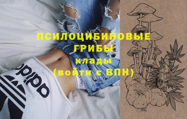 mdpv Горняк
