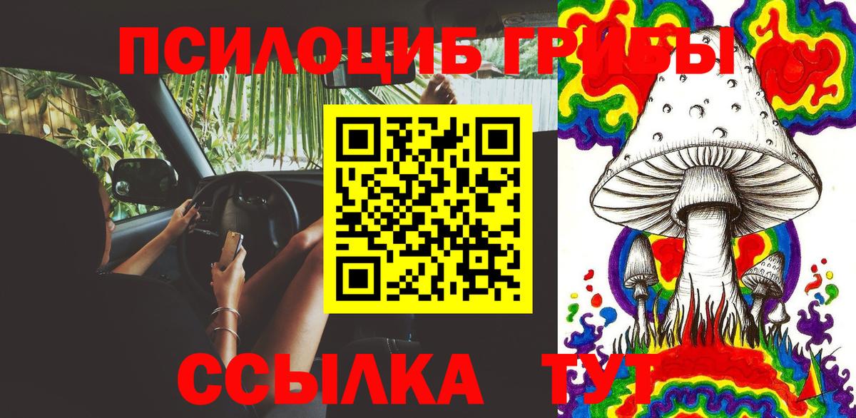 Галлюциногенные грибы Psilocybe  Псилоцибиновые грибы Cubensis  Горно-Алтайск 