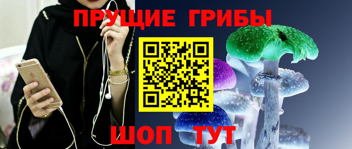 Псилоцибиновые грибы Psilocybine cubensis Горно-Алтайск